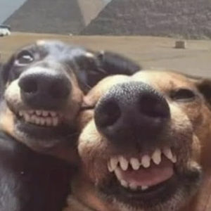 Meet your Posher, Danna